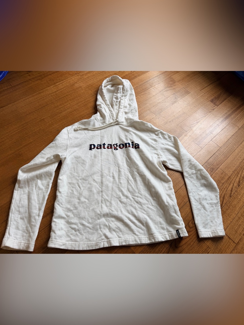Patagonia '73 Text Logo Wildrise Hoodie Cream Birch White Small Pullover
